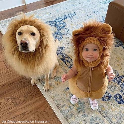 Déguisements bébé Halloween 2020 Lion